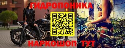 дмт Кандалакша