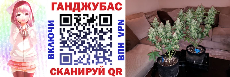 Бошки марихуана семена Мурманск